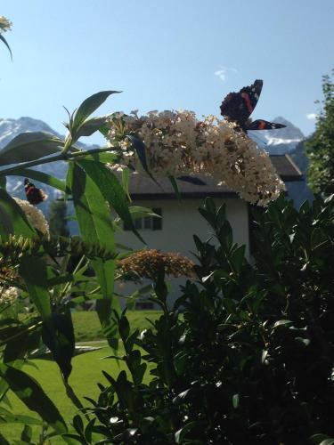 Hotel Garni Tannleger B&B