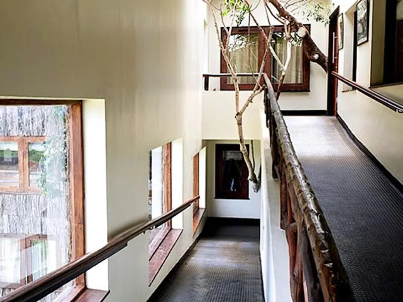 Treetops Lodge