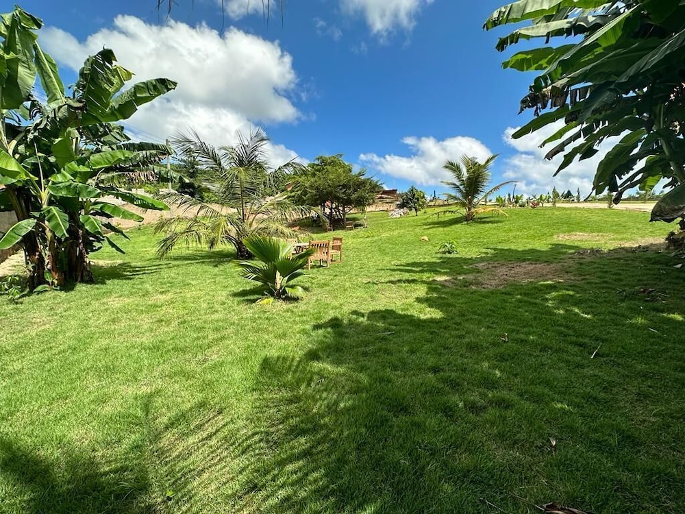 Cozy Hill Gardens