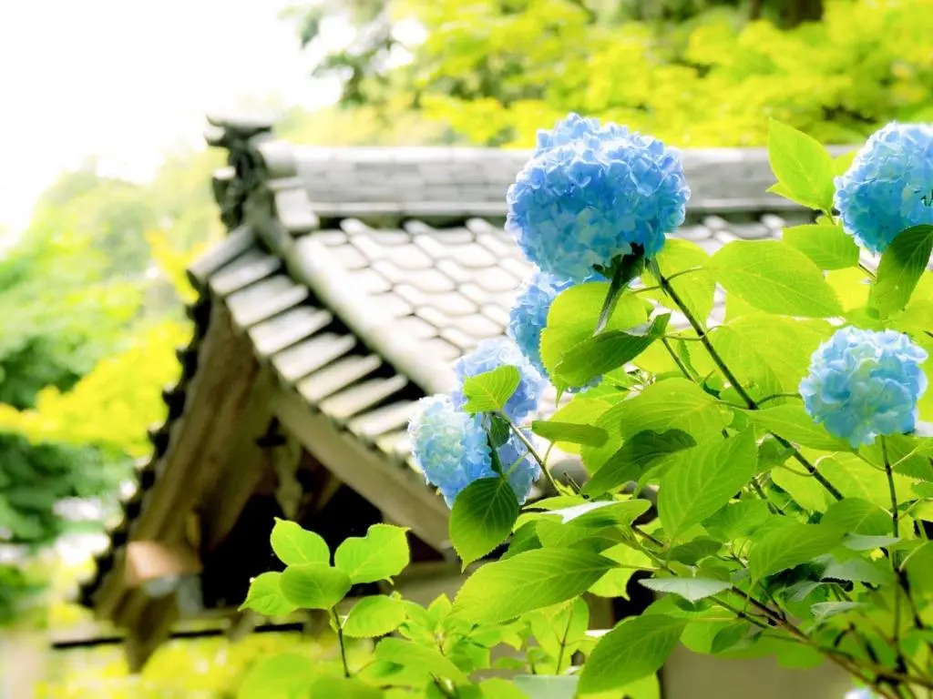 Kamakura COCON