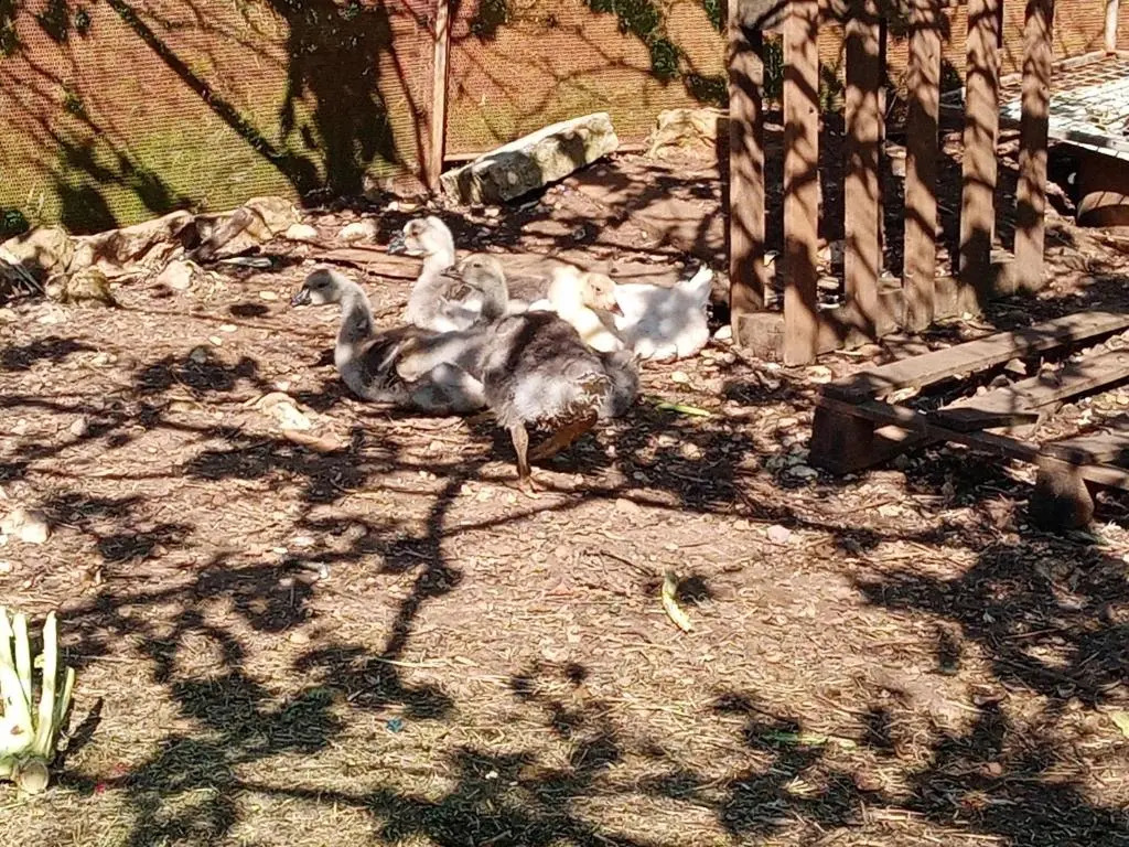 Azienda Agricola 25 Ponti