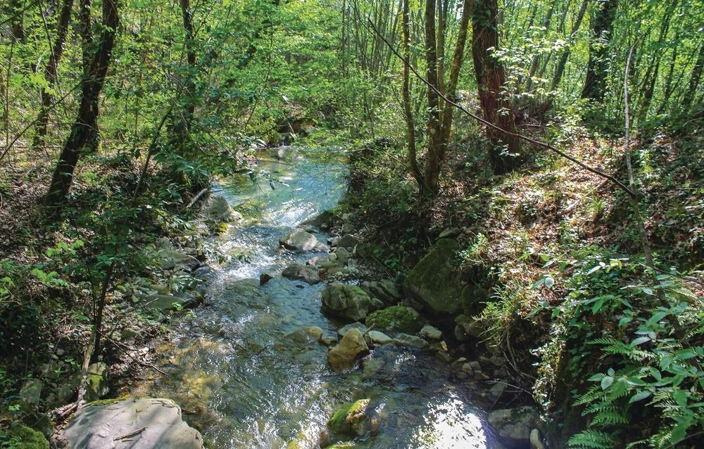 Il Quercetino