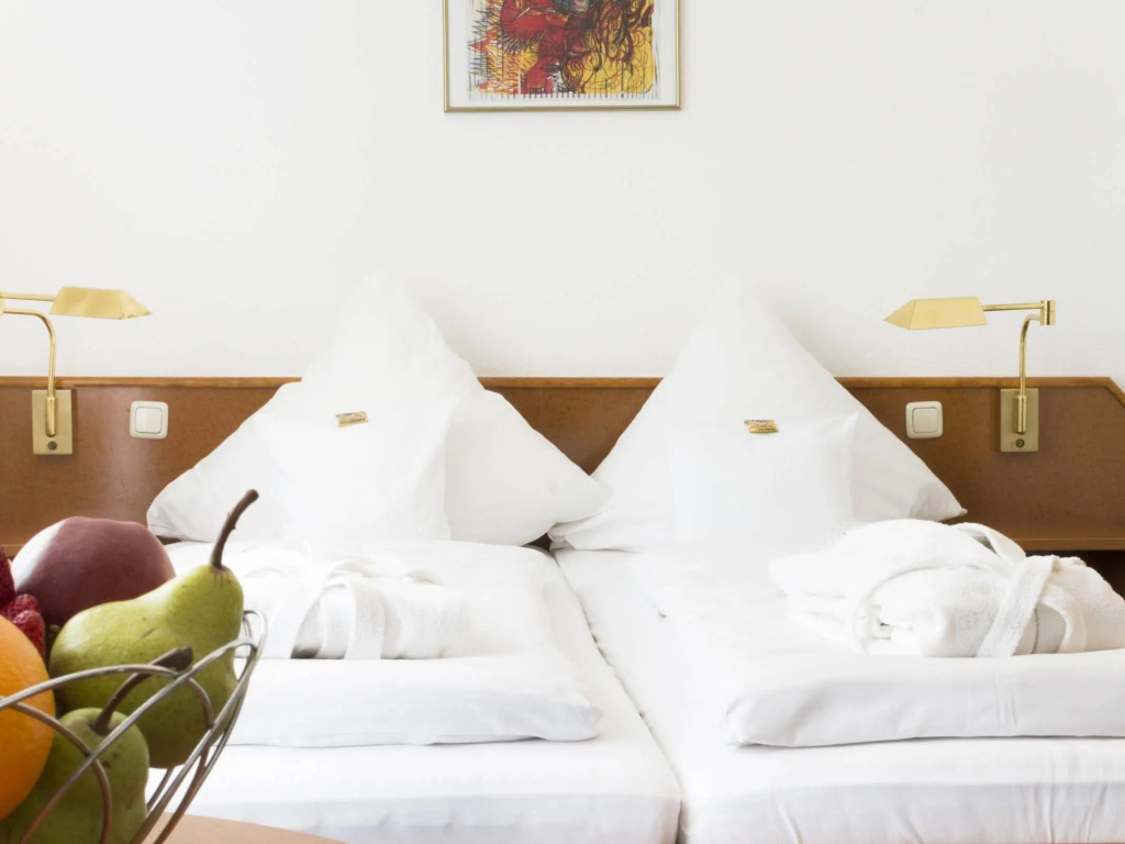 Hotel Roemerstein