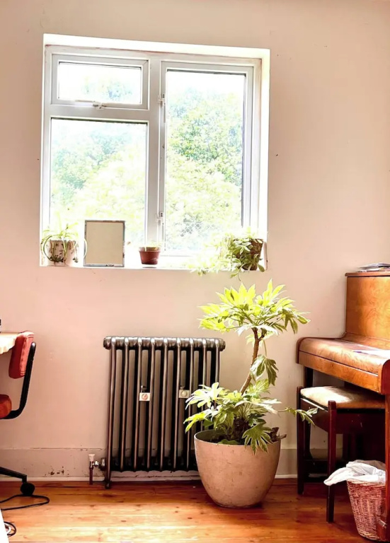 Room-cozy Guest Room in Vibrant Brighton