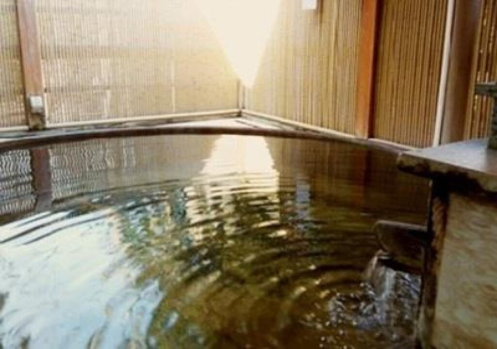 Hakone Kowakien Mikawaya Ryokan