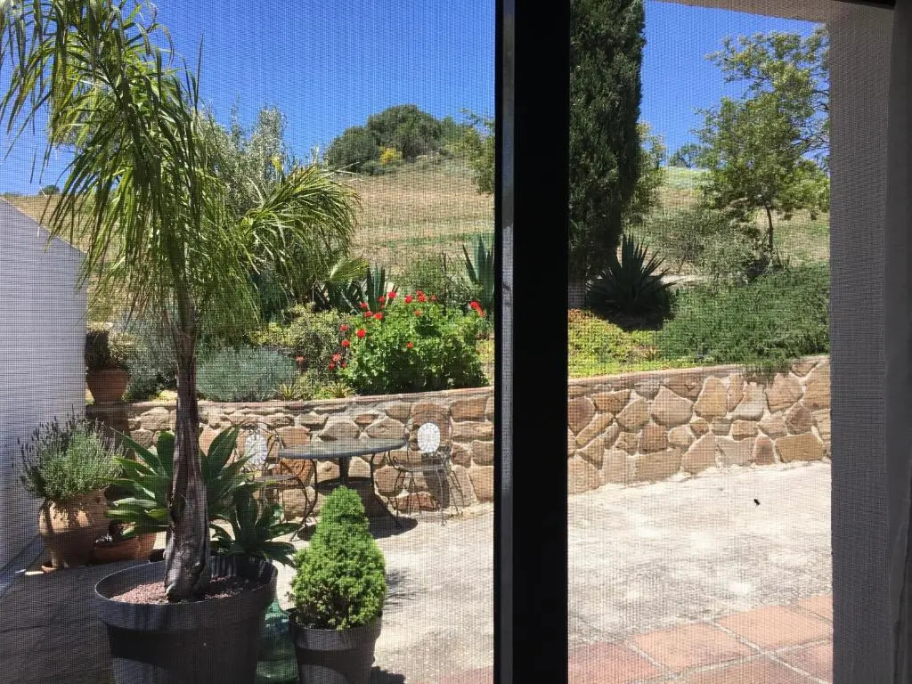 Finca Las Campanas II