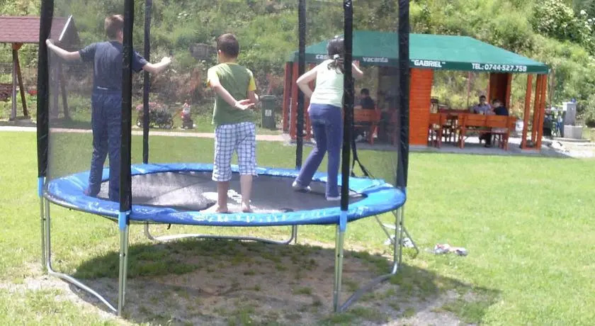 Case de vacanță Gabriel