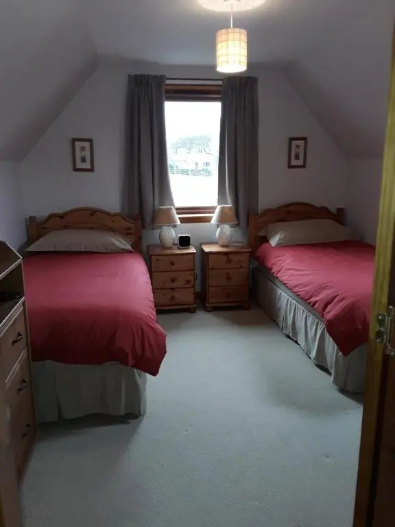 The Pally - behind 13 Palace Road
