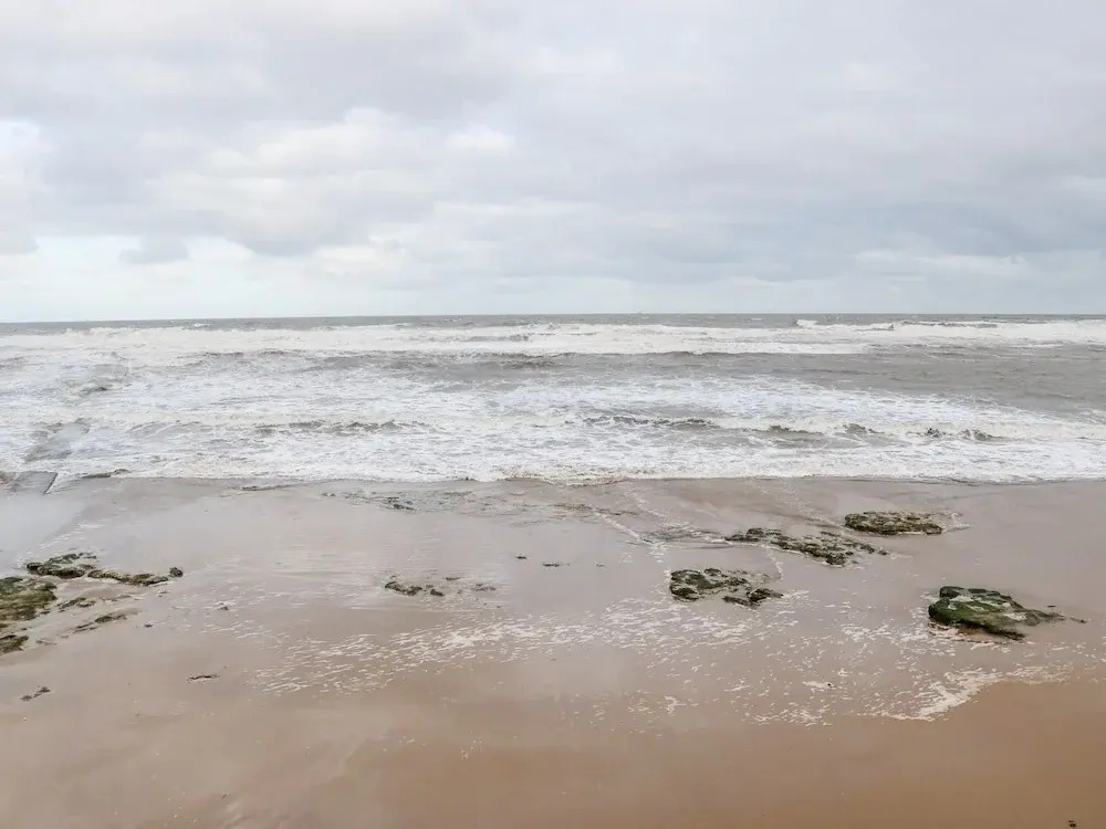 No.20 The Headland