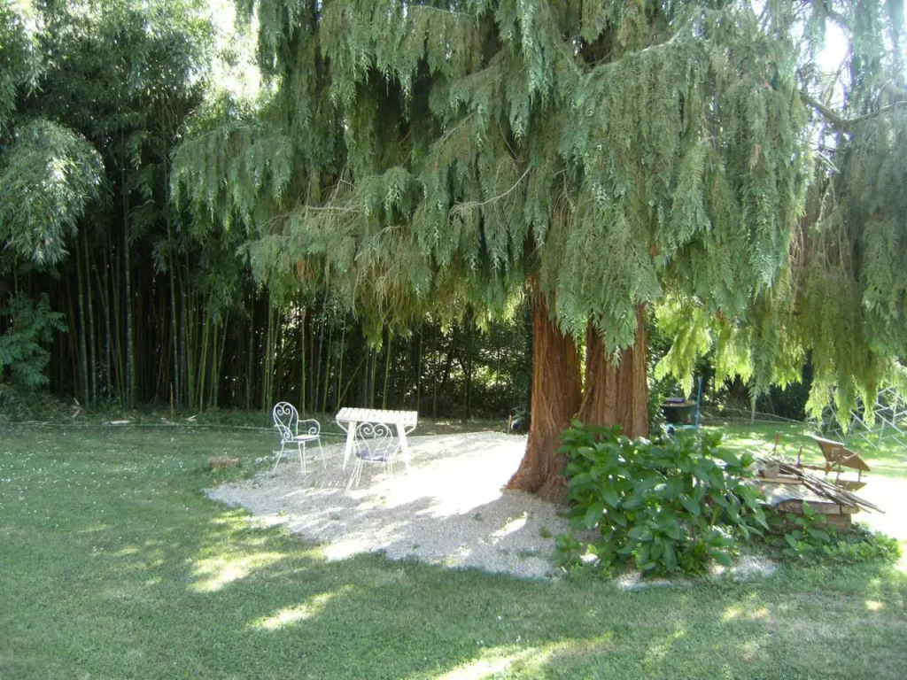 La Cigogne