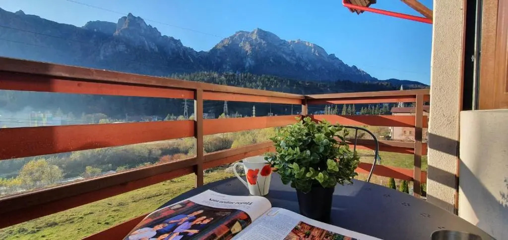 Panoramic View Apartment