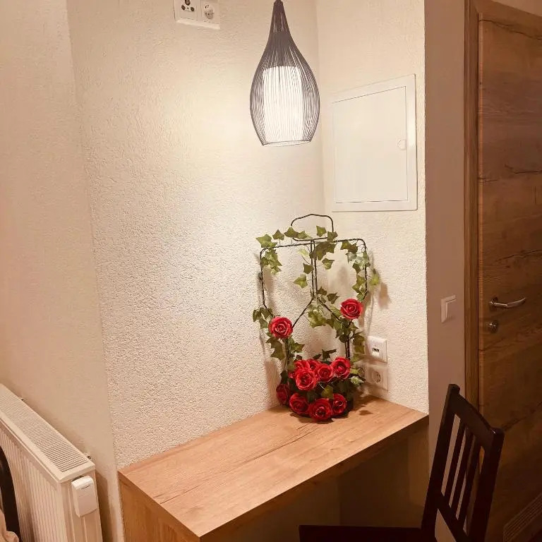 Rose Boardinghouse 24h-7d Self Check-In Automat