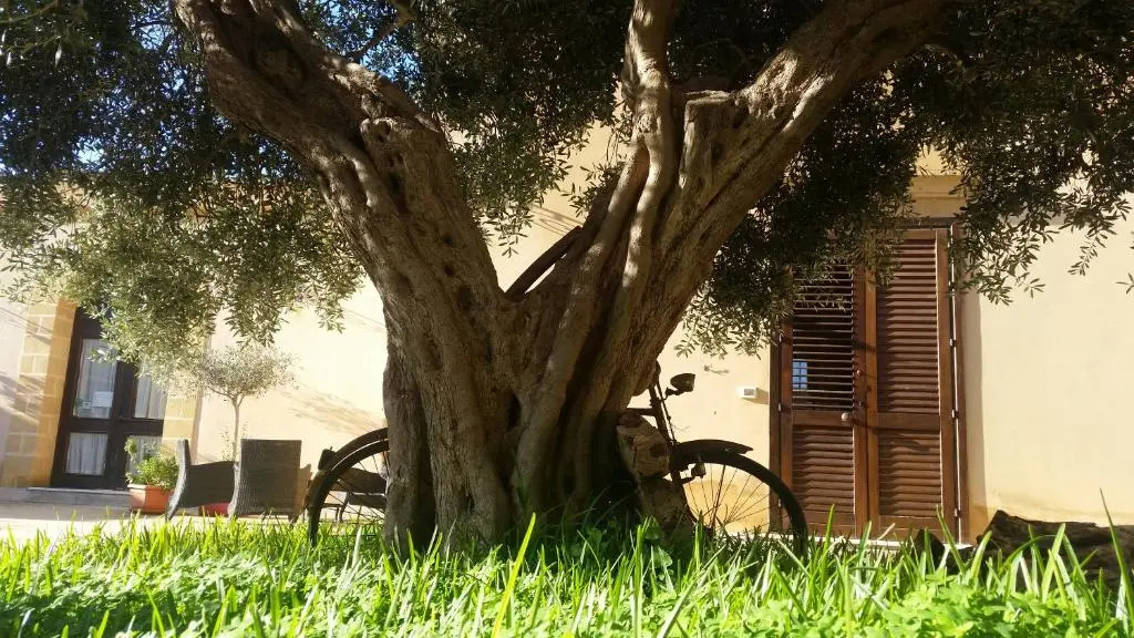 Baglio Cudia Resort