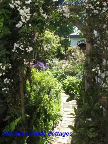The Grove