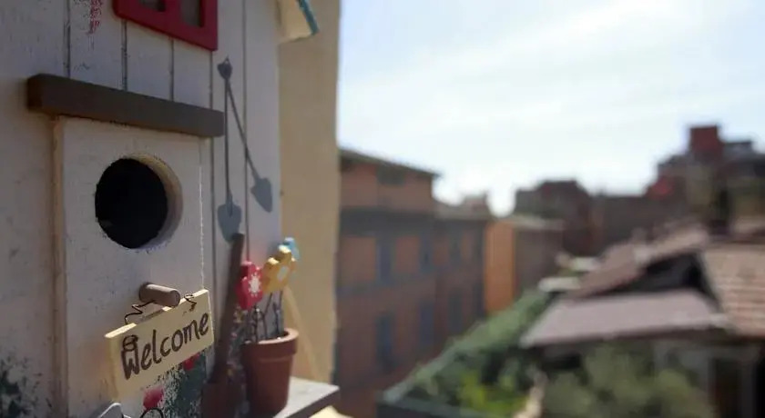 Baccina Suite