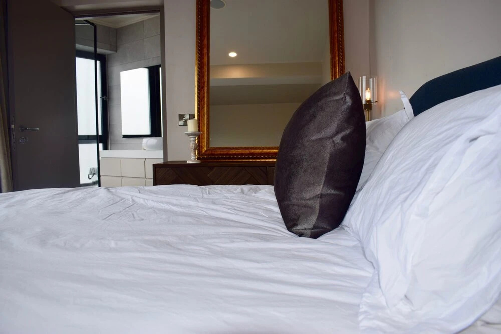 Contemporary 2 Bedroom Apartment Near Ifsc