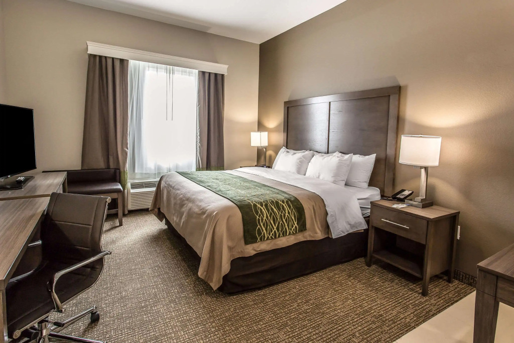 Comfort Inn & Suites Snyder