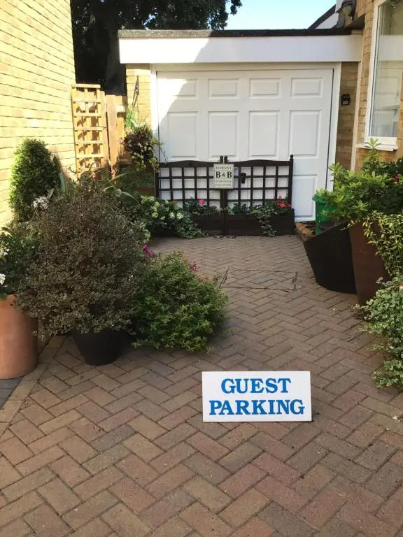 Forest B & B