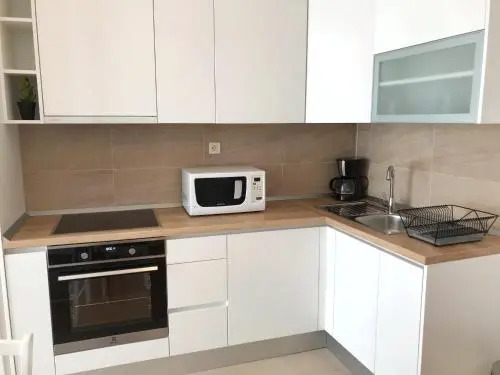 Apartment Antiša
