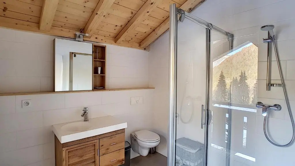 Chalet Neuf -Saint Jean D'Aulps Station 12 Personnes - Cimes C6