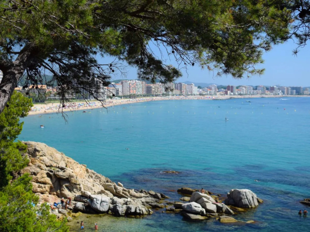 Les Suredes 11115