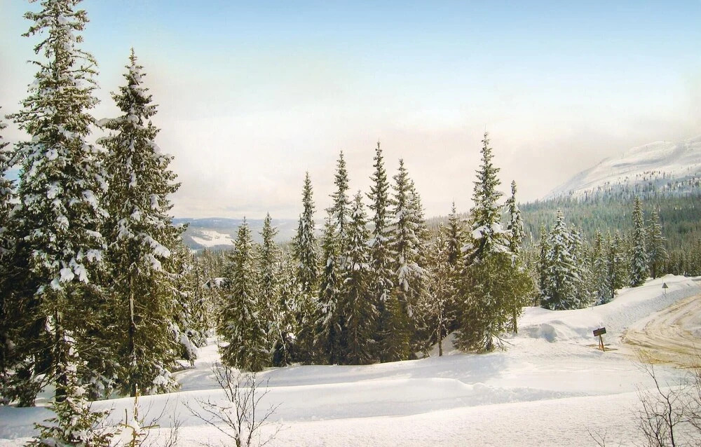 Nice Home in Trysil With 3 Bedrooms, Sauna and Wifi
