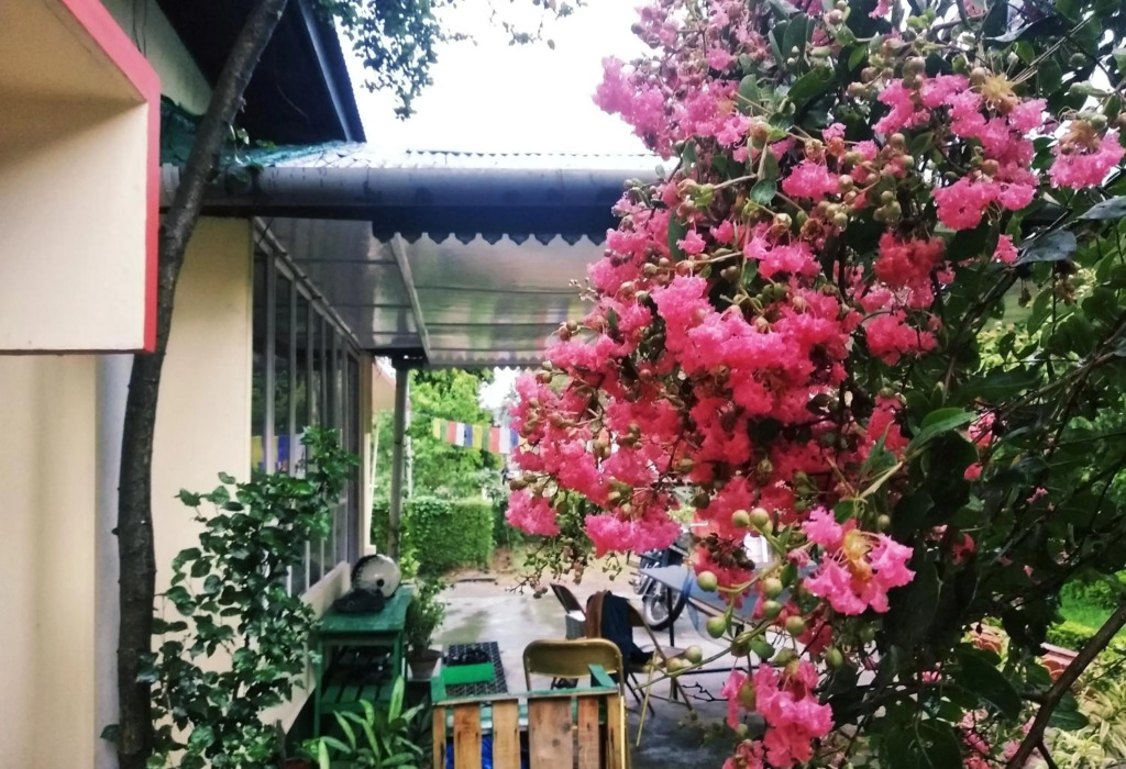 Gibbon Backpackers Hostel