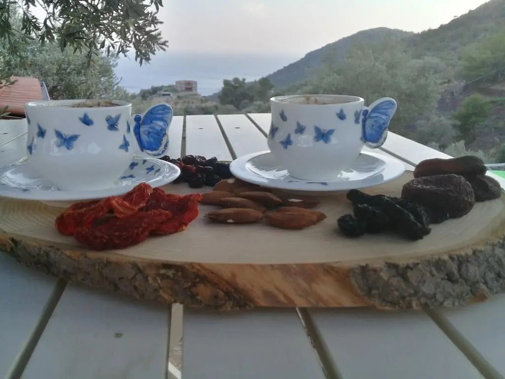 Mavi Kelebek Datca