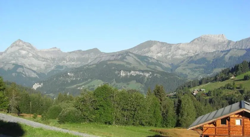 Chalets Savoie Les chalets dHeidi