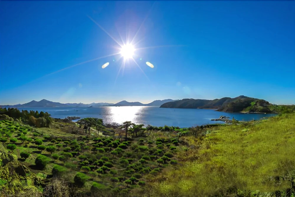 Geoje Forest Pinetree Pension