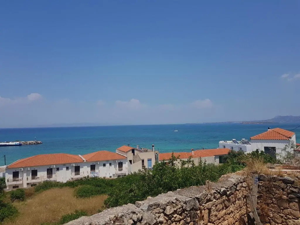 4 Ambelia paradise