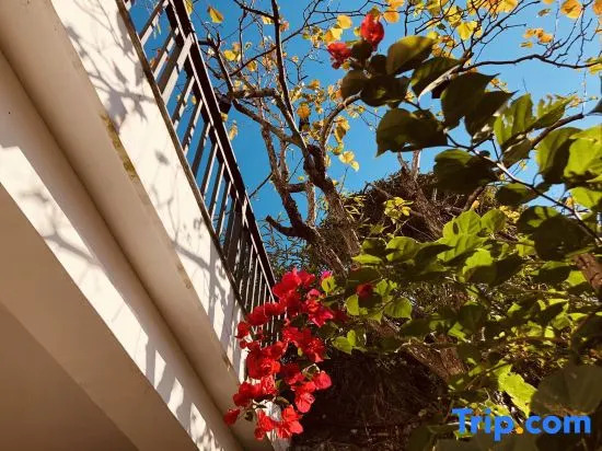 Ruoshanbei Homestay