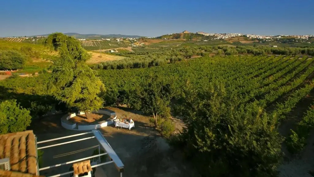 Casa Rural Finca Buytrón