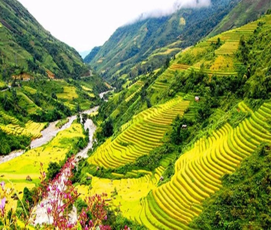Sapa Mountain Queen House