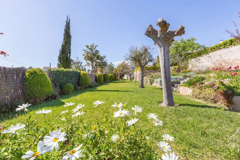 Villa in Blanes With Pool and Beach Views