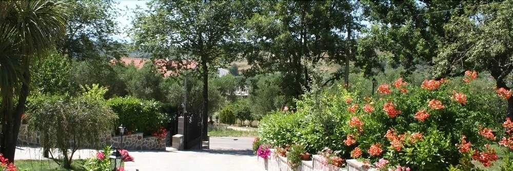 Antico Cilento