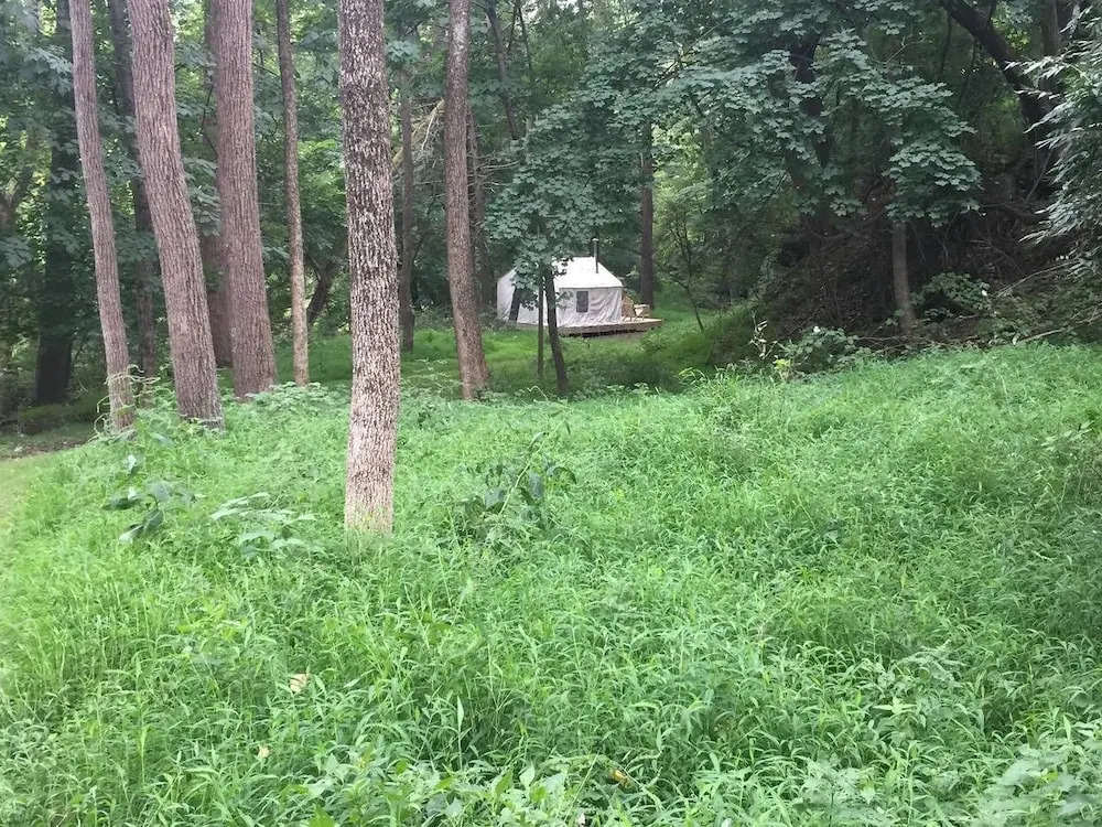 Tentrr - Sycamore Hill Farm Creekside