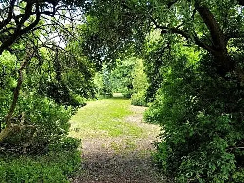 Naturskolen Gedser