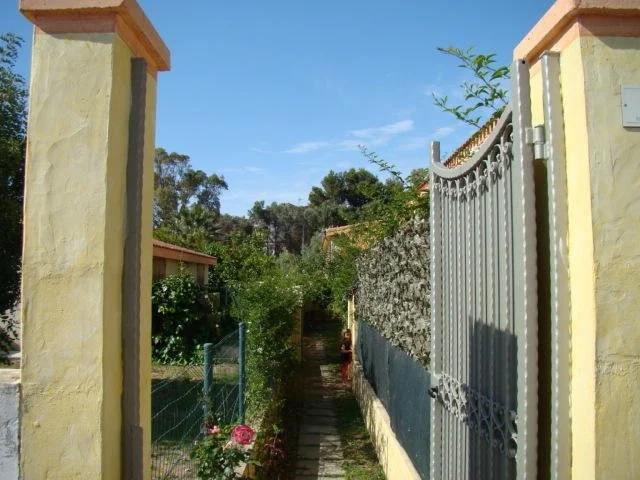 Le Ginestre