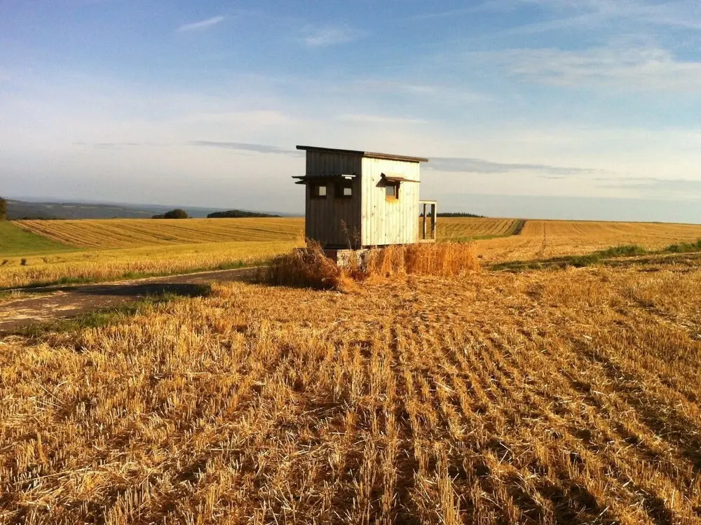 Holiday Home Moselle with Private Sauna