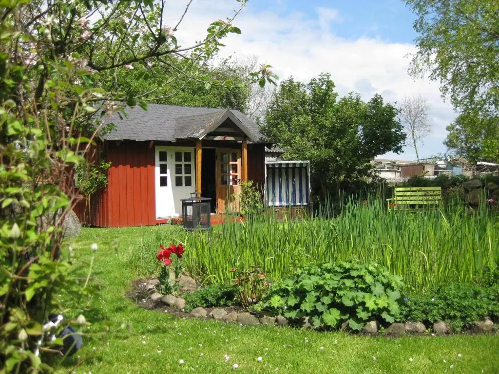 Sonnenblume Nr1