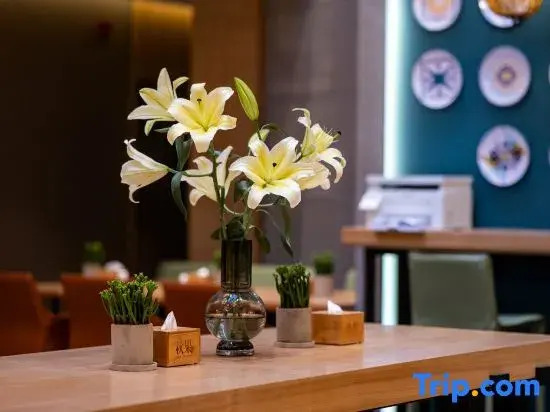 TRUE GO Hotel (Beijing Capital Airport Nanfaxin Subway Station)
