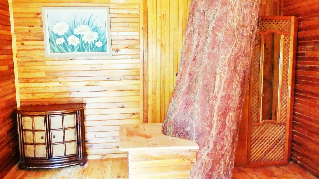 Kadir's Tree Houses