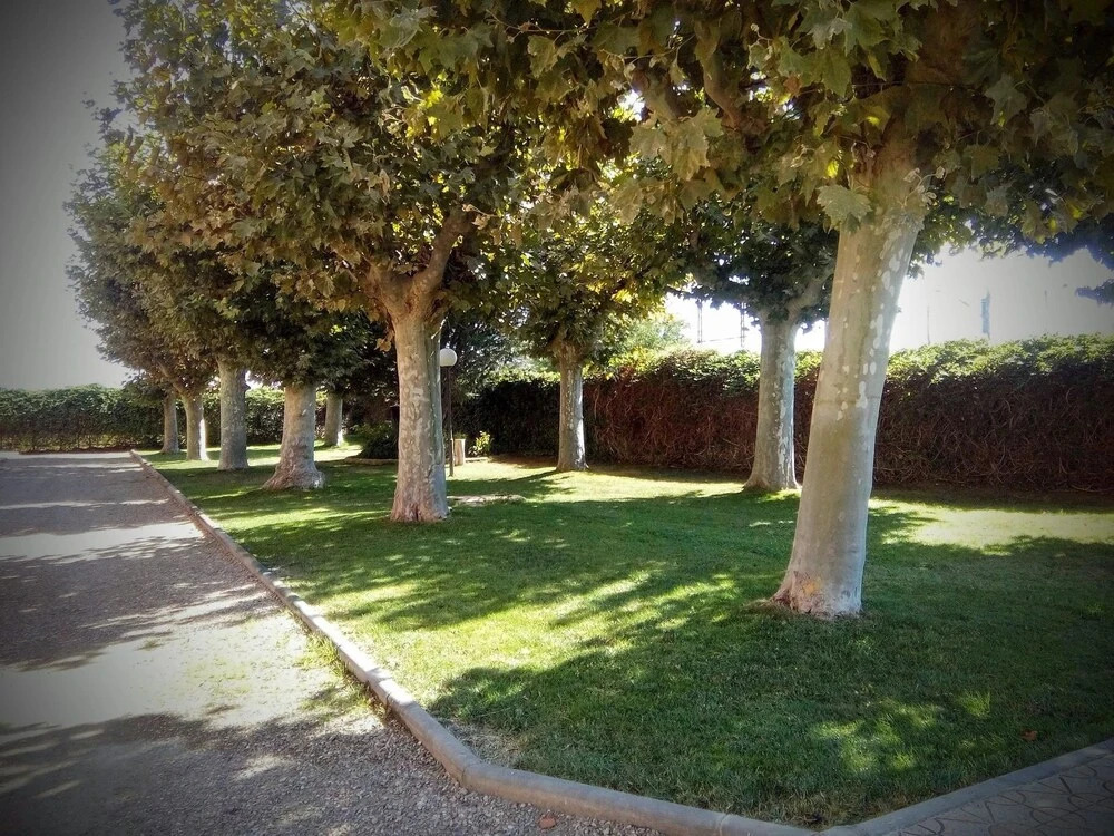 House With 2 Bedrooms in Terrer, With Wonderful Mountain View, Pool Ac