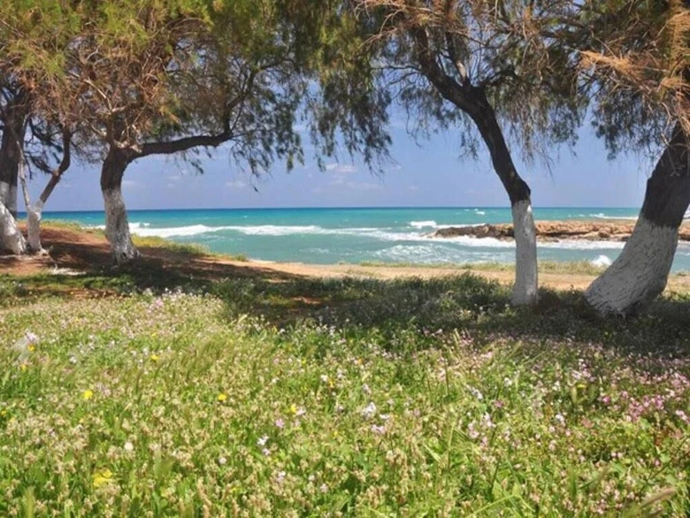 Villa Villino Blu by the sea