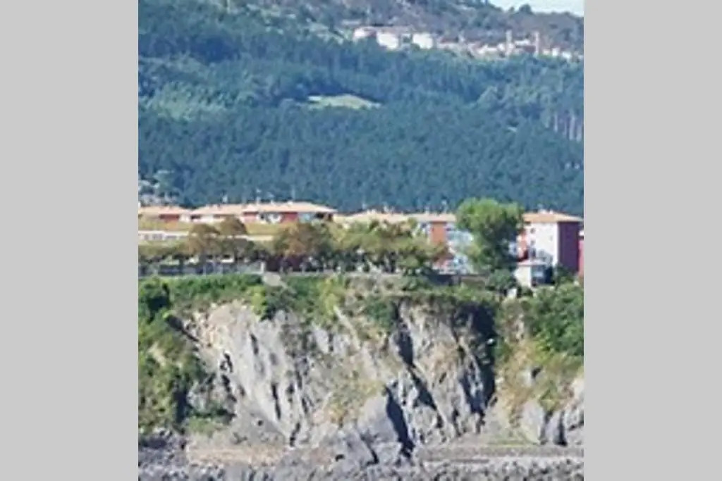 Sare Enea