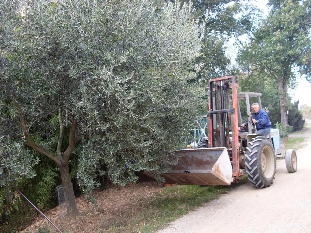 Agriturismo La Marletta
