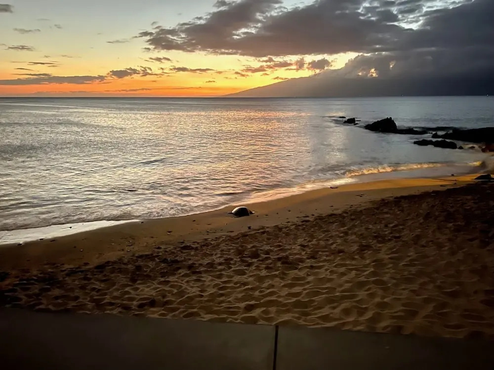 Kahana Sunset C7 2 Bedroom Condo by RedAwning