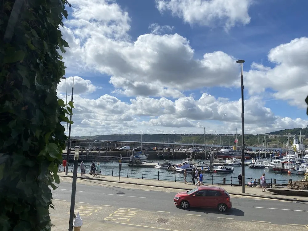 Ivy By The Sea