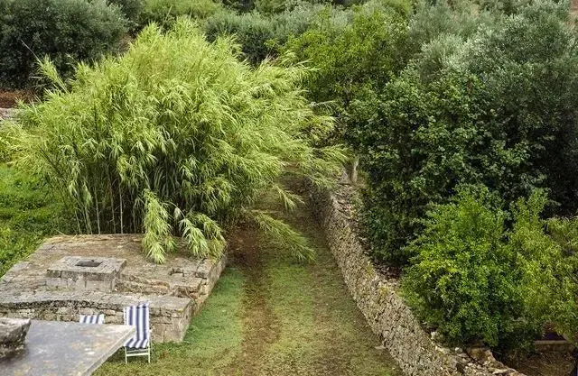 Masseria Sacerdote B&B